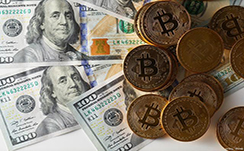 高端定位受金价波动影响较小 明年有望实现正向经营现金流